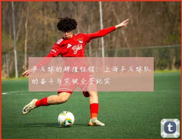 乒乓球的辉煌征程：上海乒乓球队的奋斗与突破全景纪实