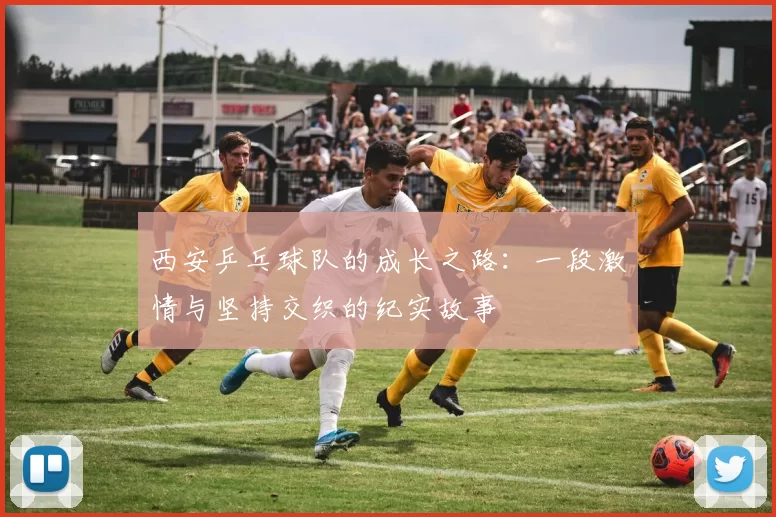 西安乒乓球队的成长之路：一段激情与坚持交织的纪实故事