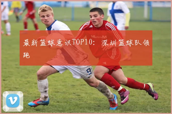 最新篮球意识TOP10：深圳篮球队领跑