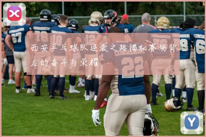 西安乒乓球队逆袭之路揭秘赛场背后的奋斗与荣耀