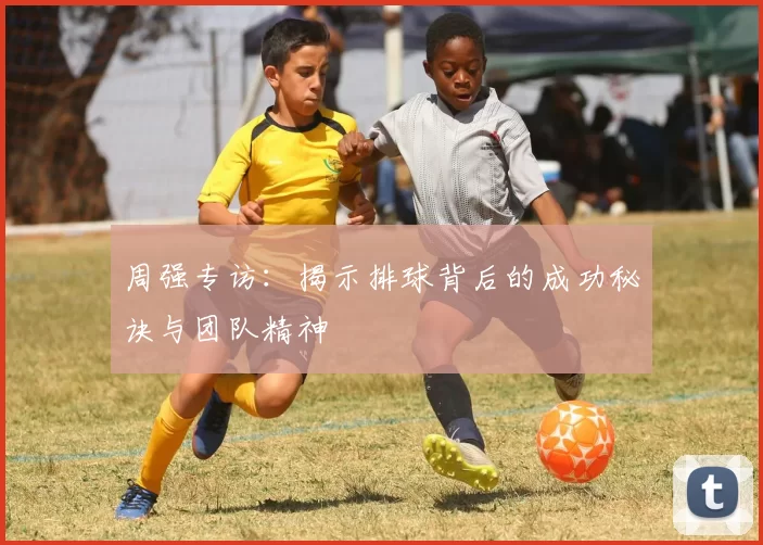 周强专访：揭示排球背后的成功秘诀与团队精神