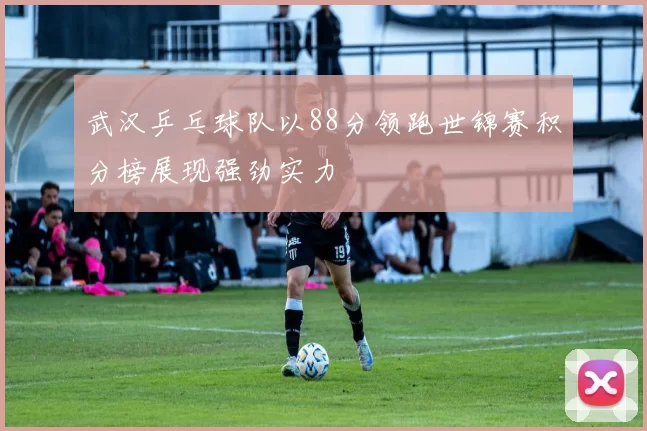 武汉乒乓球队以88分领跑世锦赛积分榜展现强劲实力