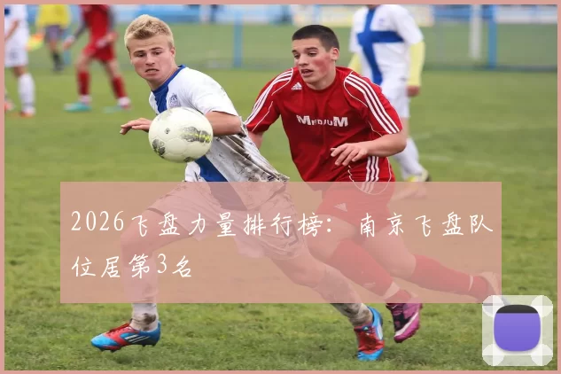 2026飞盘力量排行榜：南京飞盘队位居第3名
