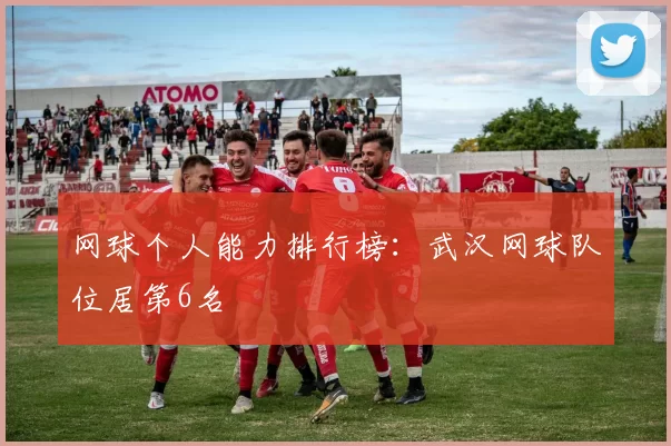 网球个人能力排行榜：武汉网球队位居第6名