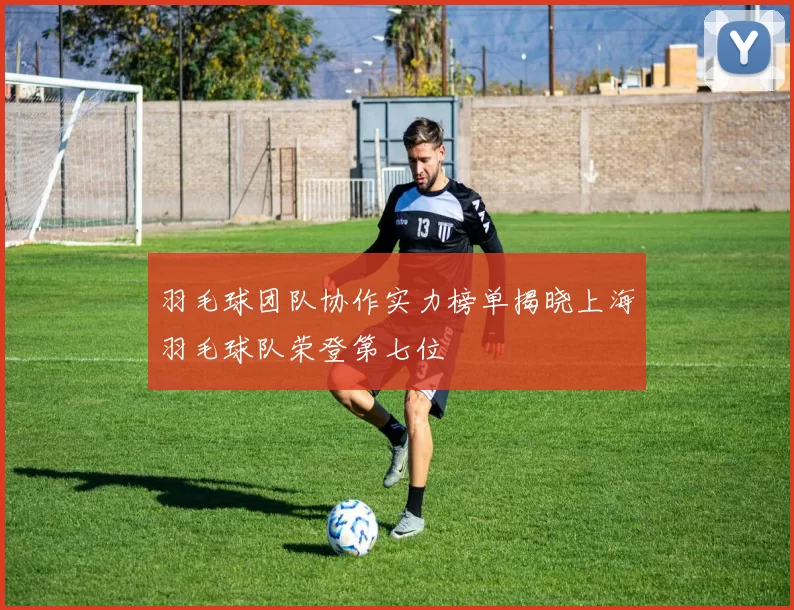 羽毛球团队协作实力榜单揭晓上海羽毛球队荣登第七位