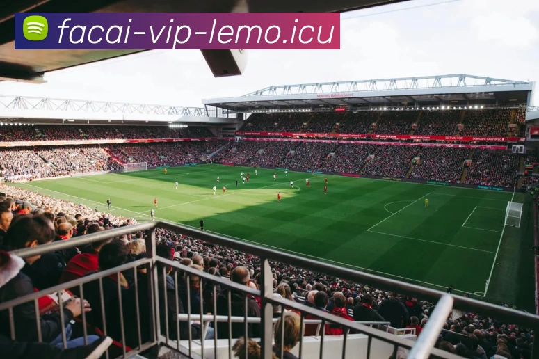 华体会体育平台生态图